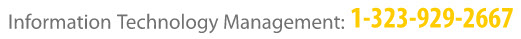 information technology management 323 929 2667